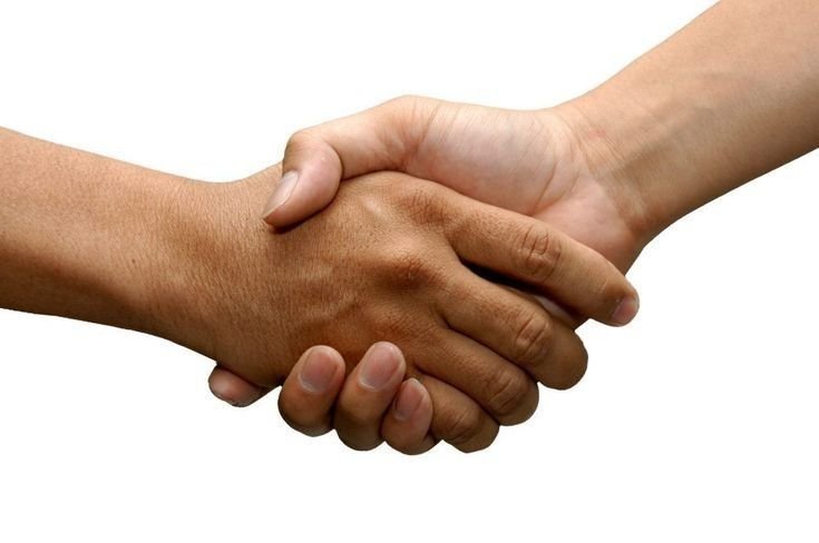 Vandem vendor and business partnerships